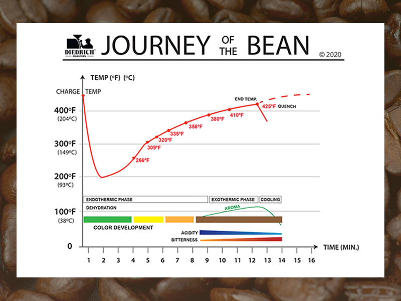 Diedrich Roasters the Journey of the Coffee Bean Graphic