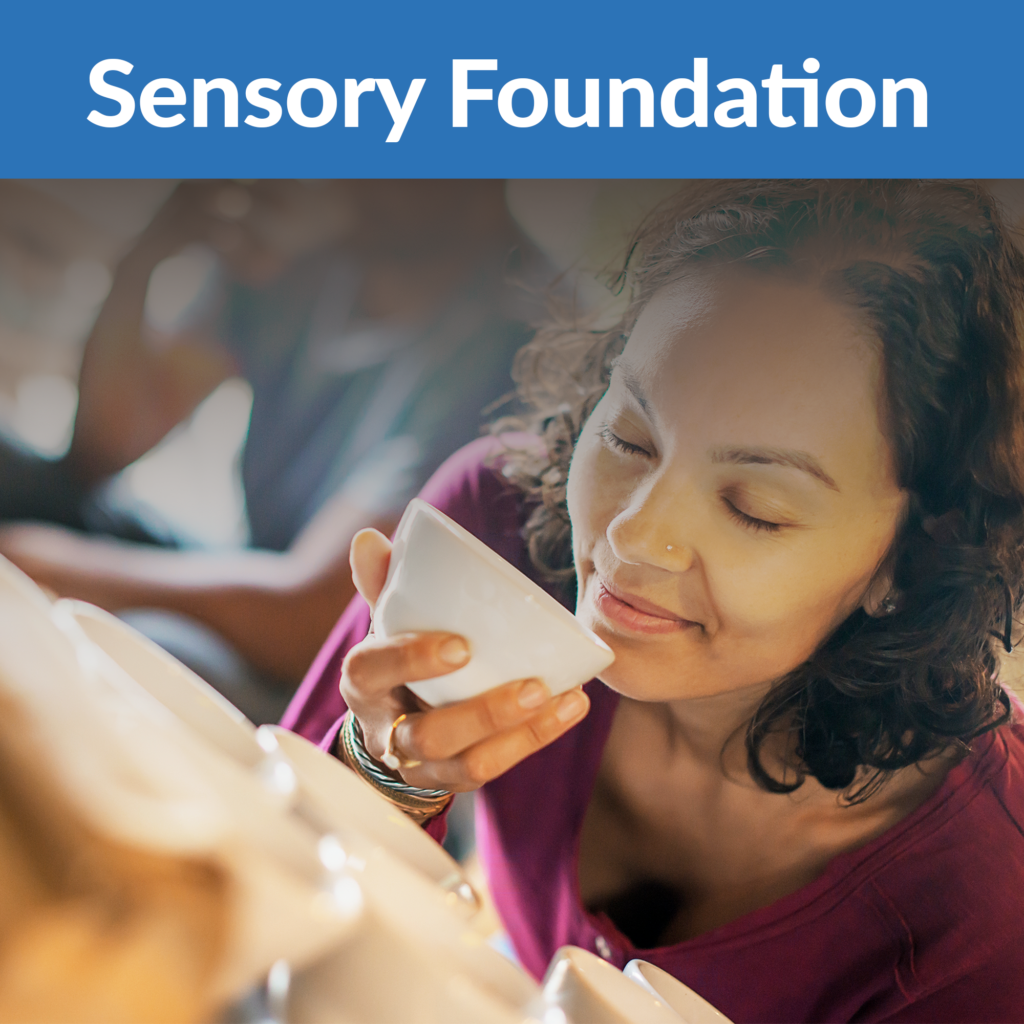 Firedancer-Classes-Roasting-2026-Coffee-Sensory-Fundamentals