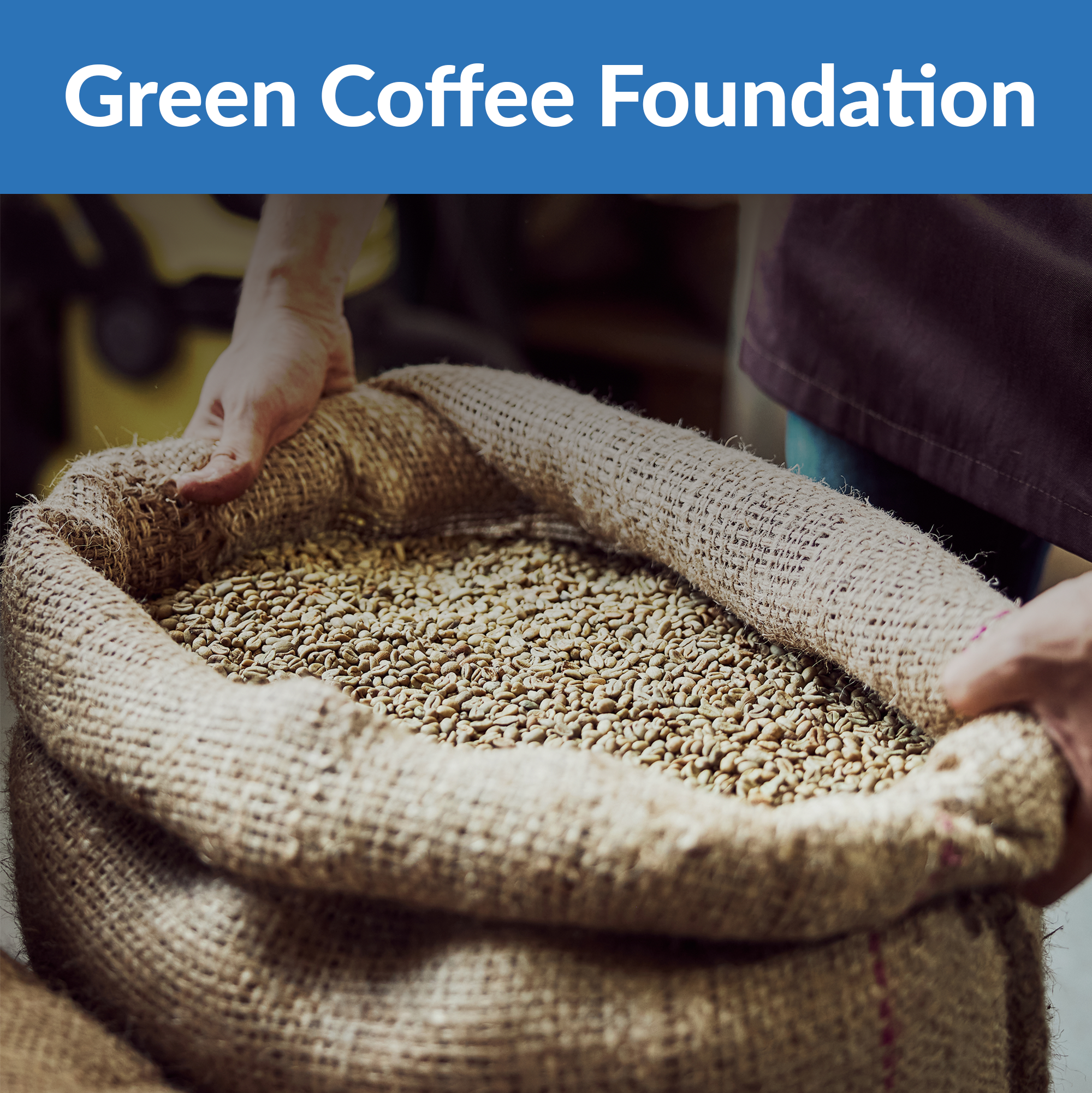 Firedancer-Classes-Roasting-2026-Green-Coffee-Foundation