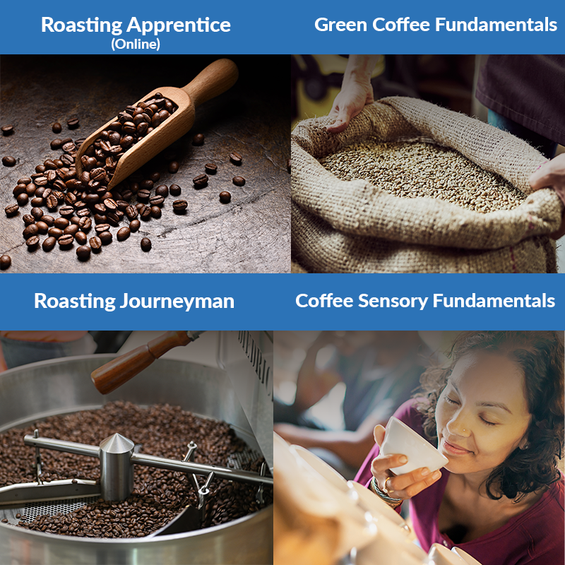 Roasting-Pathway-Level-1